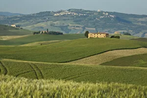 Images Dated 20th May 2007: Italy, Tuscany. Springtime landscape near Pienza