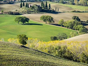 Province Of Siena Prints: Italy, Tuscany. Tuscan landscape
