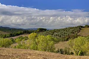 Images Dated 13th April 2022: Italy, Tuscany. Tuscan landscape