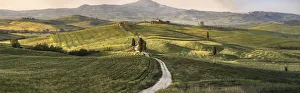 Bucolic Prints: Italy, Tuscany, Val d Orcia