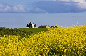 Farmhouse Prints: Italy, Tuscany, Val d Orcia. Chapel of Vitaleta and farmhouse