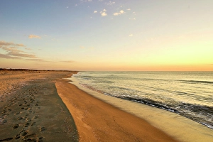 Images Dated 17th July 2024: Italy, Tuscany, Versilia. Late afternoon at the beach