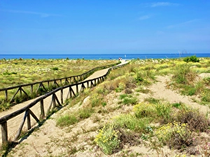 Images Dated 17th July 2024: Italy, Tuscany, Versilia. Path from the parking lot to the beach