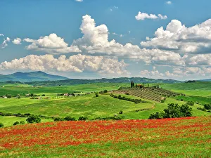 Poppy Prints: Italy, Tuscany. View of Tuscan Valley and villa with Spring poppies
