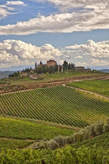 Europe Prints: Italy, Tuscany. A view of the vineyards and villa in Chianti region of Tuscany, Italy