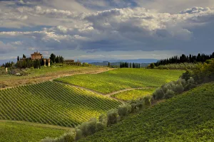 Images Dated 14th February 2022: Italy, Tuscany. A view of the vineyards and villa in Chianti region of Tuscany, Italy