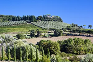 Images Dated 13th April 2022: Italy, Tuscany. Villa on hillside surrounded with olive trees and vineyard