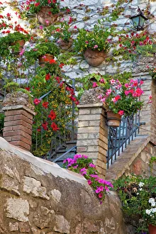 Umbria Prints: Italy, Umbria, Assisi. Entrance to a home with flowering pots on stone wall
