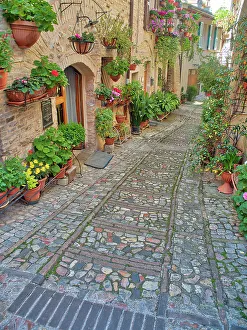 Umbria Prints: Italy, Umbria, Spello. Alley with potted plants