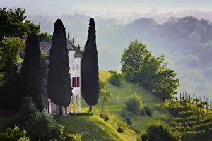 Veneto Prints: Italy, Veneto, Asolo. Country house and cypress trees