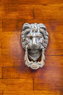Door Knocker Prints: Italy, Venice, Burano Island. Closeup of a lion head door knocker on a wooden door