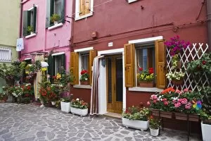 Italy, Venice, Burano. Multi-colored houses with flowers outside
