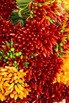 Images Dated 14th February 2022: Italy, Venice. Colorful spicy peppers (pepperoncini) on display and for sale in the Rialto Market