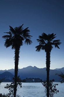 Images Dated 2nd June 2009: Italy, Verbano-Cusio-Ossola Province, Stresa. Lakefront palms and Isola Bella at dusk