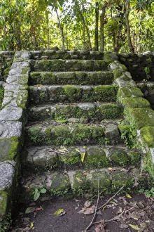 Mayan Prints: Izapa Ruins, Tapachula, Chiapas, Mexico