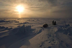 Jack Kayotuk and Alice Faith on frozen landscape on the Arctic ocean, off Herschel island