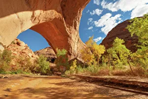 Grotto Prints: Jacob Hamblin Arch seen from beneath adjacent giant sandstone in Coyote Gulch
