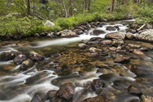 Jacobson Creek in the Pioneer Mountains of the Beaverhead- Deer Lodge National Forest