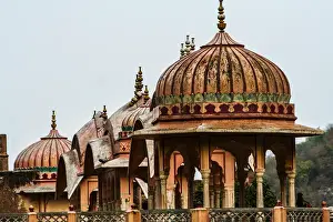 Pigeon Prints: Jaipur, Rajasthan, India. Monkey sits on ledge at ancient Galtaji Temple in India