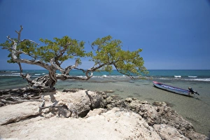 Images Dated 8th May 2006: Jakes Hideaway Resort, Treasure Beach, Jamaica South Coast