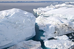 Images Dated 25th August 2007: Jakobshavn Isbr glacier Ilulissat Icefjord - Disko Bay Greenland