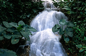 Jamaica, Ocho Rios, Shaw waterfalls
