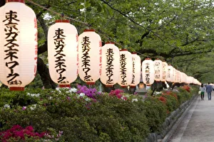 John Merrill Prints: Japan, Honshu island, Kanagawa Prefecture, Kamakura, paper lanterns along road leading