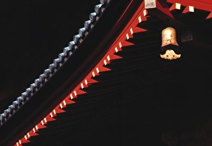 Japan, Honshu, Tochigi Pref. Nikko NP. A curved bell stands out from the lacquered