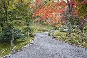 Images Dated 27th November 2011: Japan, Kyoto, Arashiyama, Sagano, Tenryuji Temple Garden