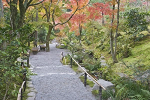 Images Dated 27th November 2011: Japan, Kyoto, Arashiyama, Sagano, Tenryuji Temple Garden