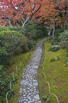 Images Dated 27th November 2011: Japan, Kyoto, Arashiyama, Sagano, Okochi Sanso Villa Garden