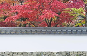 Images Dated 28th November 2011: Japan, Kyoto, Autumn Color at Eikando Temple
