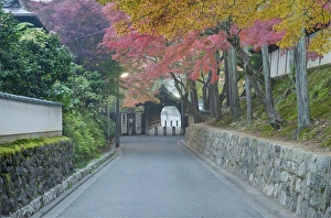 Architectural Detail Prints: Japan, Kyoto, Autumn Color at Tofukuji Temple