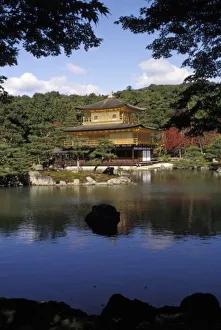 Golden Temple Prints: Japan, Kyoto, Golden Pavilion, Zen Temple