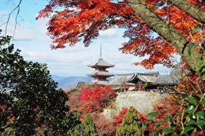 Images Dated 9th March 2011: Japan, Kyoto. Kiyomizu temple in Autumn color