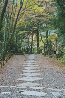 Pathway Prints: Japan, Kyoto, Kozanji Temple in the Autumn