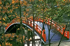 Orient Prints: Japan, Nara Pref. Nara. The Royal Bridge glows through the autumn foliage in Nara, Japan