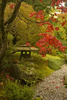 Images Dated 9th October 2007: Japanese Garden, Washinton Park, Autumn Colors, Seattle, Washington State, USA
