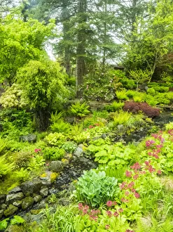 Images Dated 10th May 2017: Japanese gardens and stream with bridge