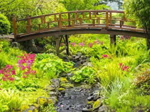 Victoria Prints: Japanese gardens and stream with bridge