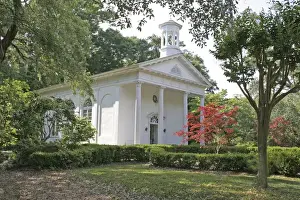 Little Prints: Japanese maple in front of chapel at historic Orton Plantation Gardens in Winnabow