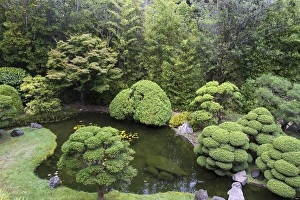 Japanese Tea Garden, Golden Gate Park, San Francisco, California, United States