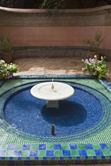 Jardin Majorelle, Marrakech, Morocco, North Africa, Africa