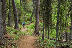 Whitefish Prints: Jared Lynch mountain biking the north end of the Whitefish Trail near Whitefish, Montana