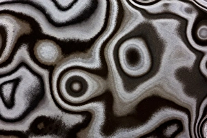 Jasper Prints: Jasper