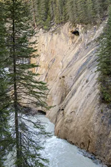 Images Dated 30th March 2019: Jasper National Park, Alberta, Canada. Hike along Johnston Canyon River on the Lower
