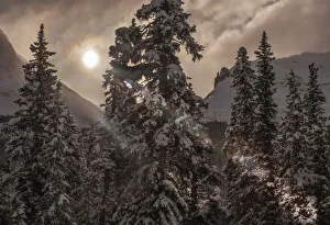 Peach Prints: Jasper National Park in Alberta Canada wakes to another winter sunrise