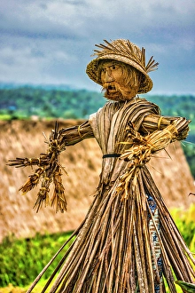 Scarecrow Prints: Jatiluwih Rice Terrace is a stunning UNESCO World Heritage Site