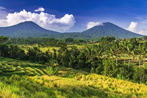 Images Dated 1st July 2020: Jatiluwih Rice Terrace (UNESCO World Heritage Site), Bali, Indonesia