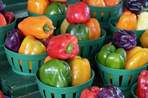 Vegetable Prints: Jean-Talon Market, large public market in Little Italy section of Montreal opened in 1933